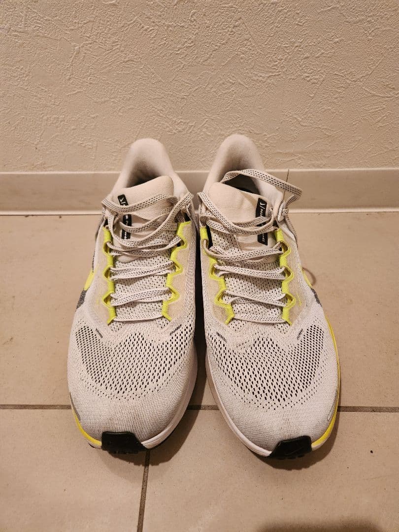 ナイキ　ペガサス41 26cm