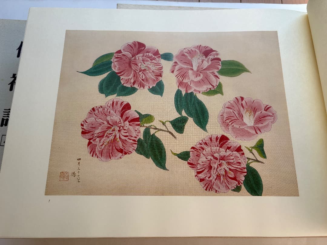 傳神譜　中村岳陵　4冊　写生画集　10.2kg 大型本画集　箱付　日本画　絵画