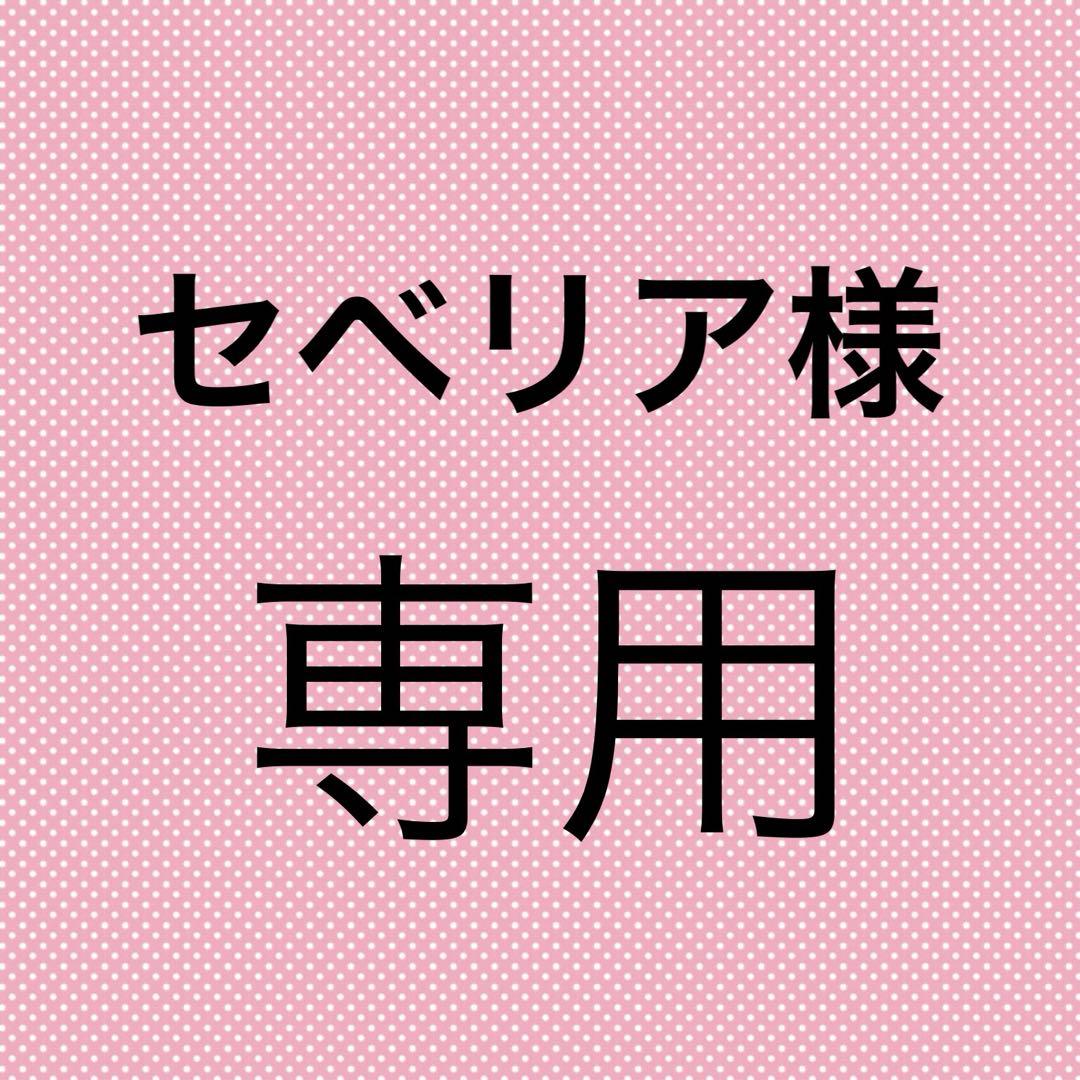 セベリア(同梱して頂いて大丈夫です☆)様☆専用