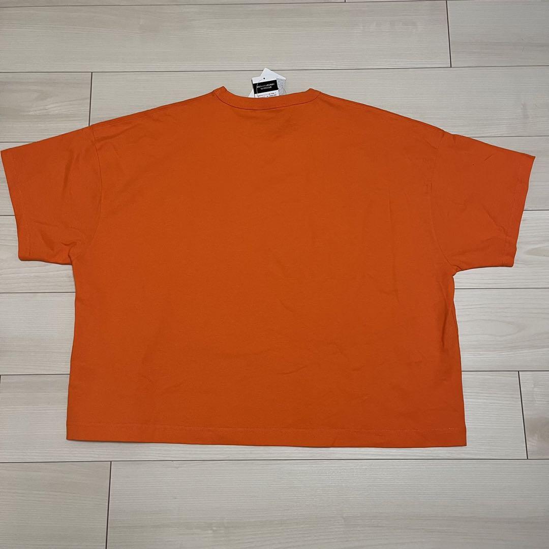 i*u様 champion HOLIDAY Tシャツ　ジャーナルスタンダード　オ