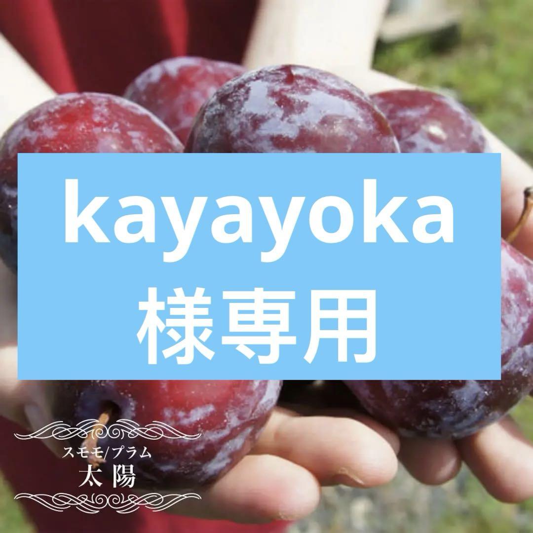 【太陽】　苗木　すもも　5本　ポットごとメルカリ便発送