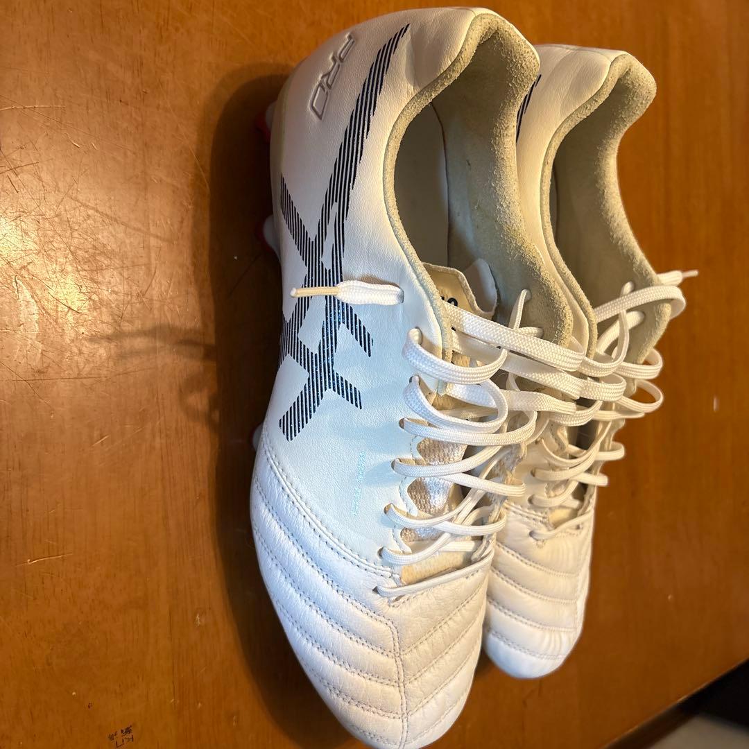 ASICS DS LIGHT X-FLY PRO