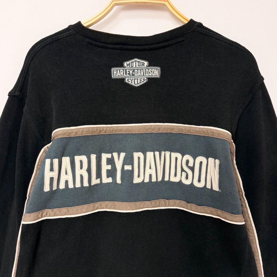 ハーレーダビッドソン 刺繍ロゴ 厚手 長袖 ロング Tシャツ ロンT S20