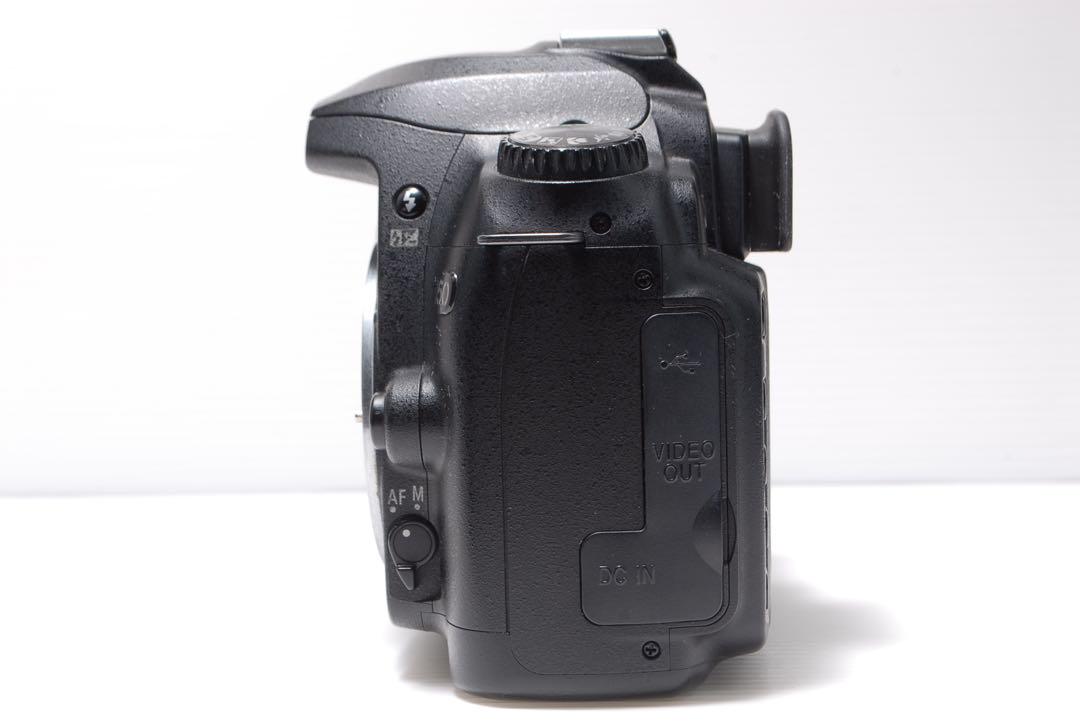 ⭐️大人気⭐️Nikon D50 シングルレンズセット フォロー割実施