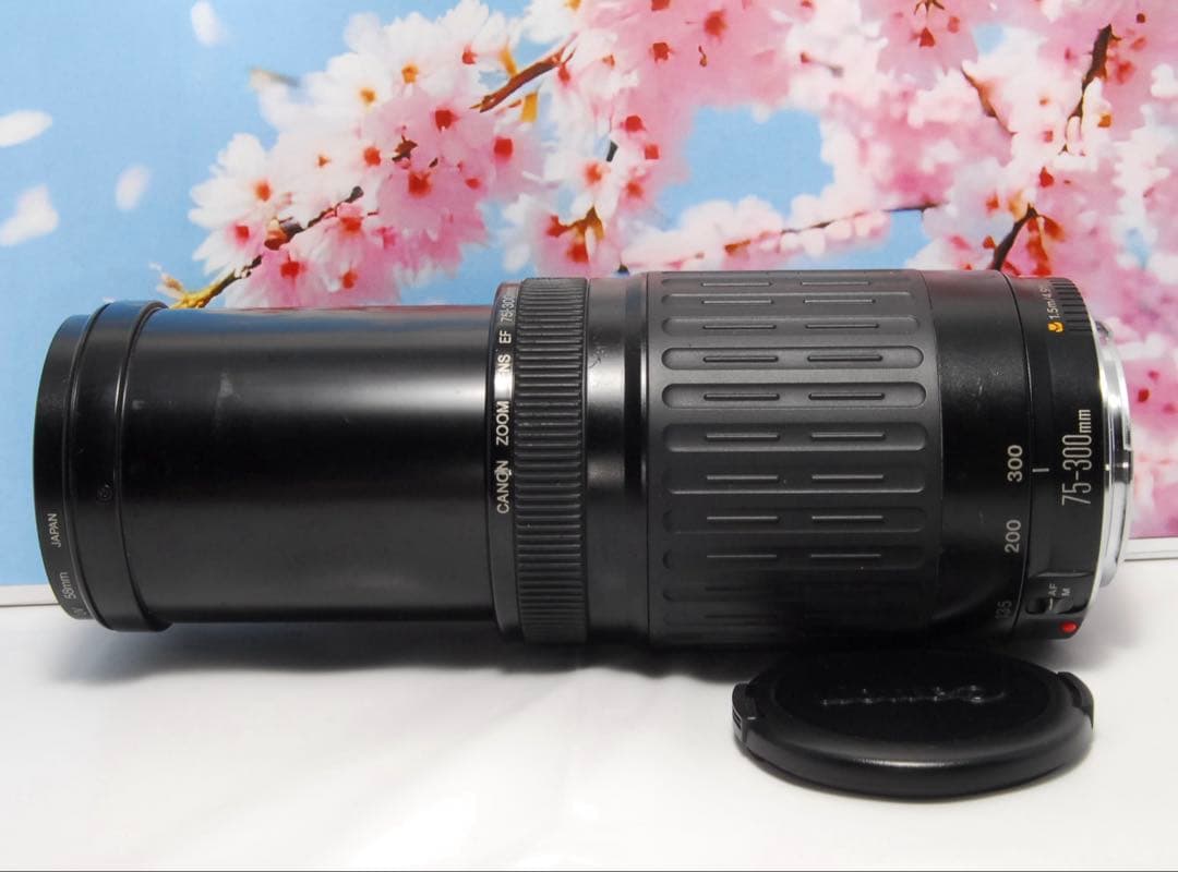 超望遠レンズ⭐️Canon EF 75-300mm 運動会 お遊戯会 にオススメ 超望遠レンズ⭐️Canon EF 75-300mm 運動会 お遊戯会 にオススメ