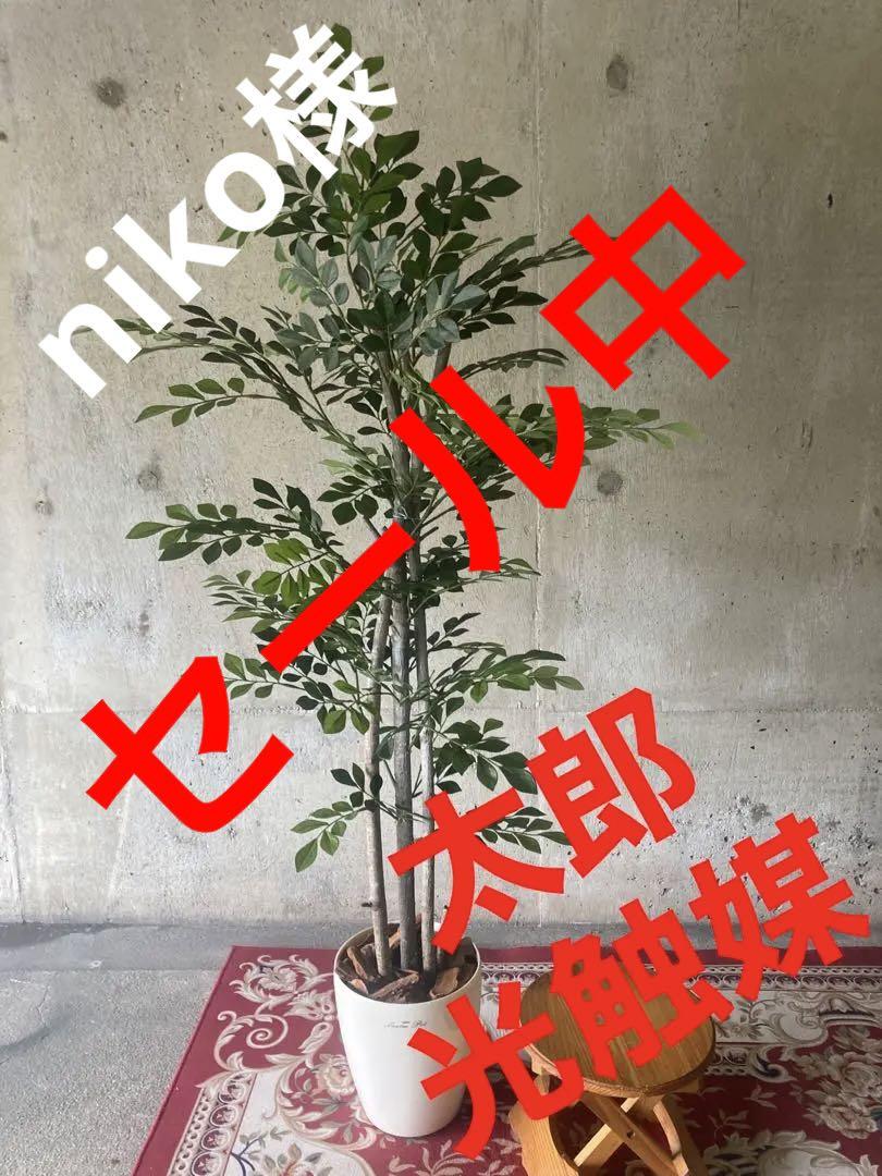 ふるさと割】 光触媒 人工観葉植物 ウォールグリーン フェイクグリーン