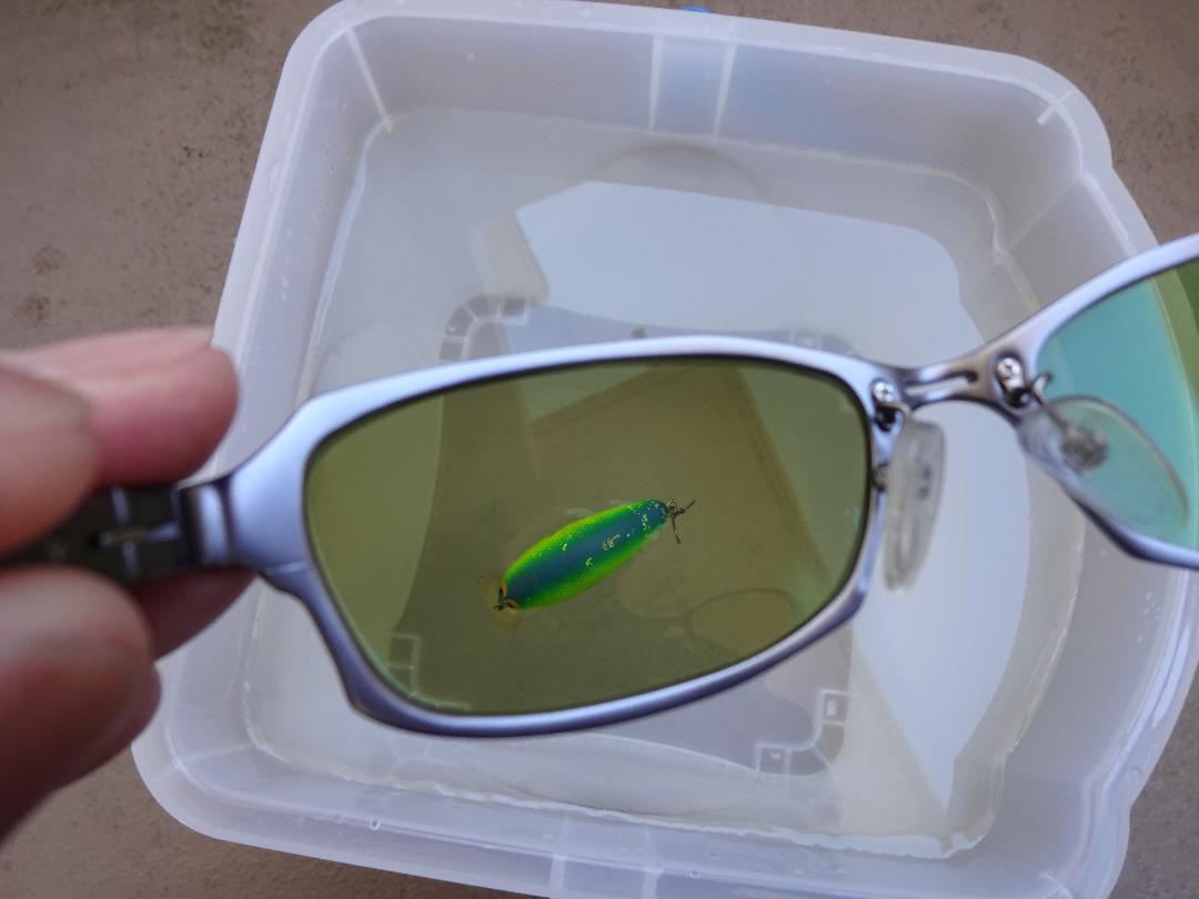 ジールオプティクス(Zeal optics) SERIO elf（使用品）