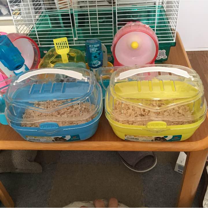 ハムスターグッズ