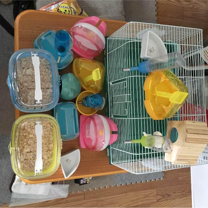 ハムスターグッズ