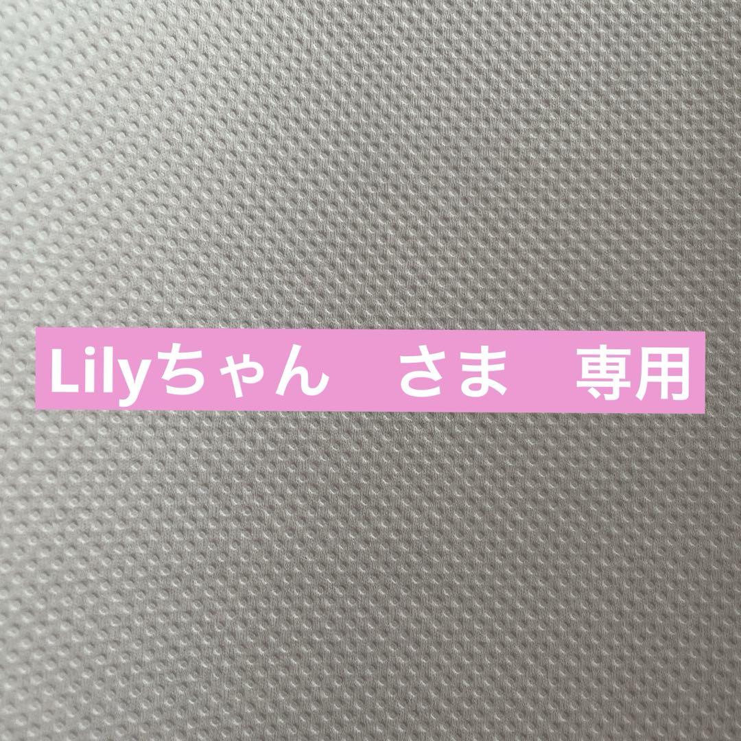 【Lilyちゃん】早稲田実業初等部 夏季前期＋後期＋秋季直前講習会セット