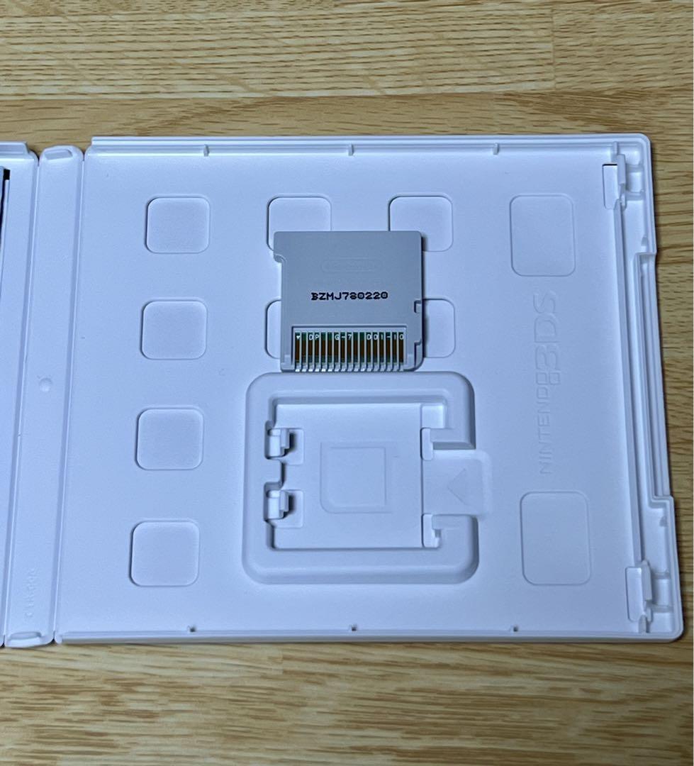 任天堂 ニンテンドー3DS 世界樹の迷宮X Nintendo 3DS