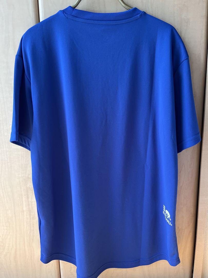 EGOZARU エゴザル　カレッジロゴ　Tシャツ　2枚セット