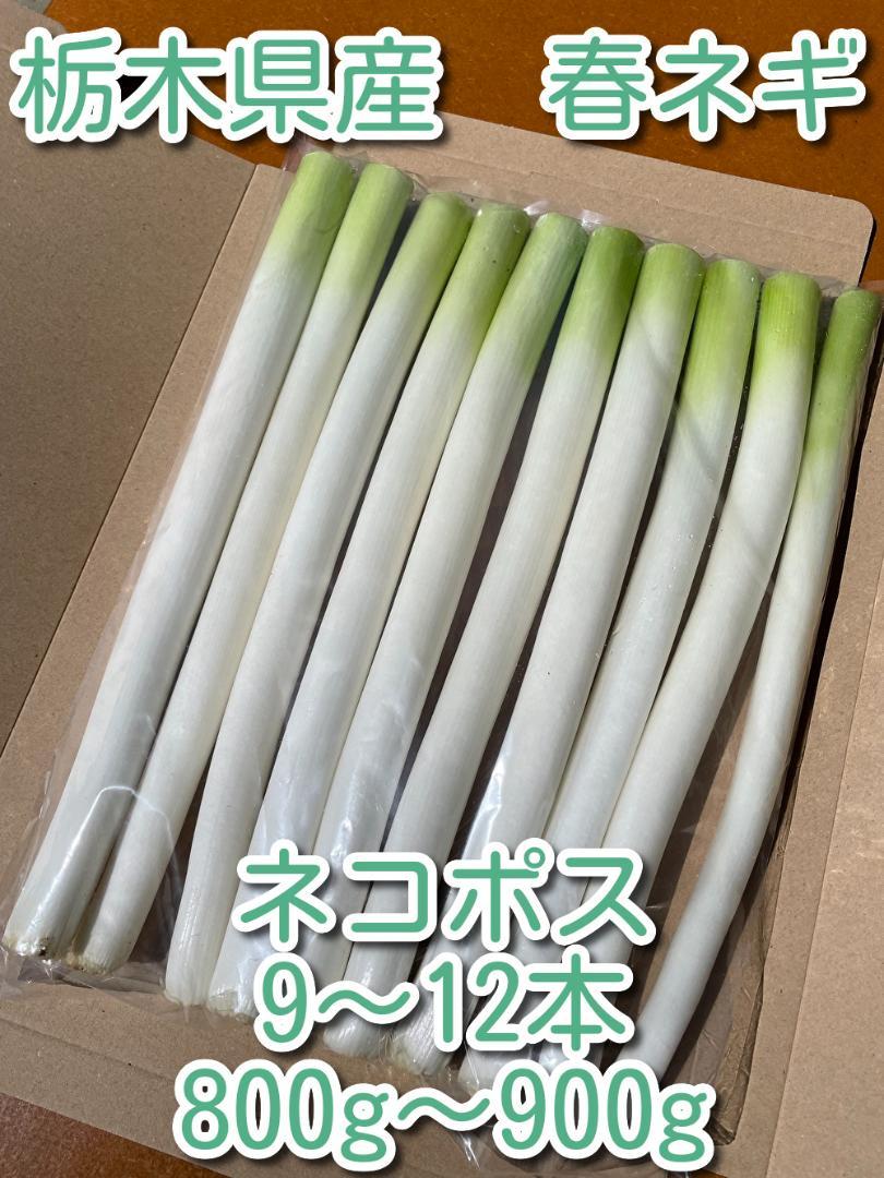 栃木県産 長ネギ ネコポス メルカリ