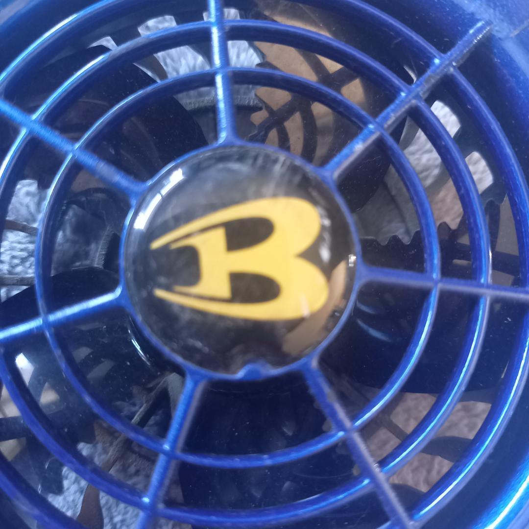 BURTLE