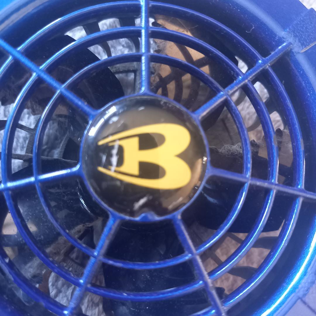 ✟ BURTLE