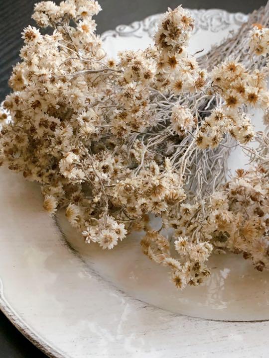 たくあんちょい長めカワラハハコ　ドライフラワー　　53 爆買い！ たくあん様専用ちょい長めカワラハハコ 53 ドライ