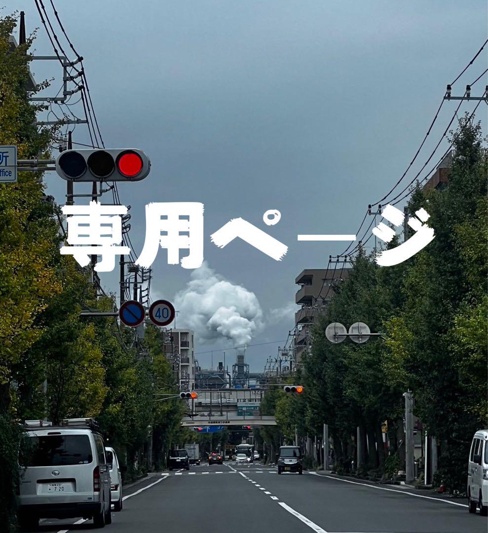 こじたか様専用ページ