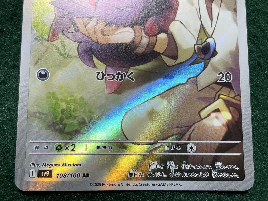 Nのゾロアークex SAR／NのゾロアAR ※おまけ