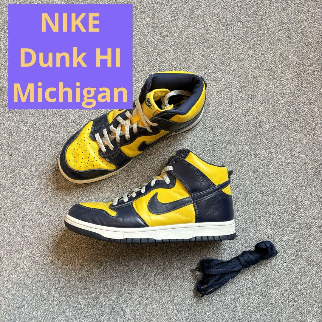 nike dunk Michigan