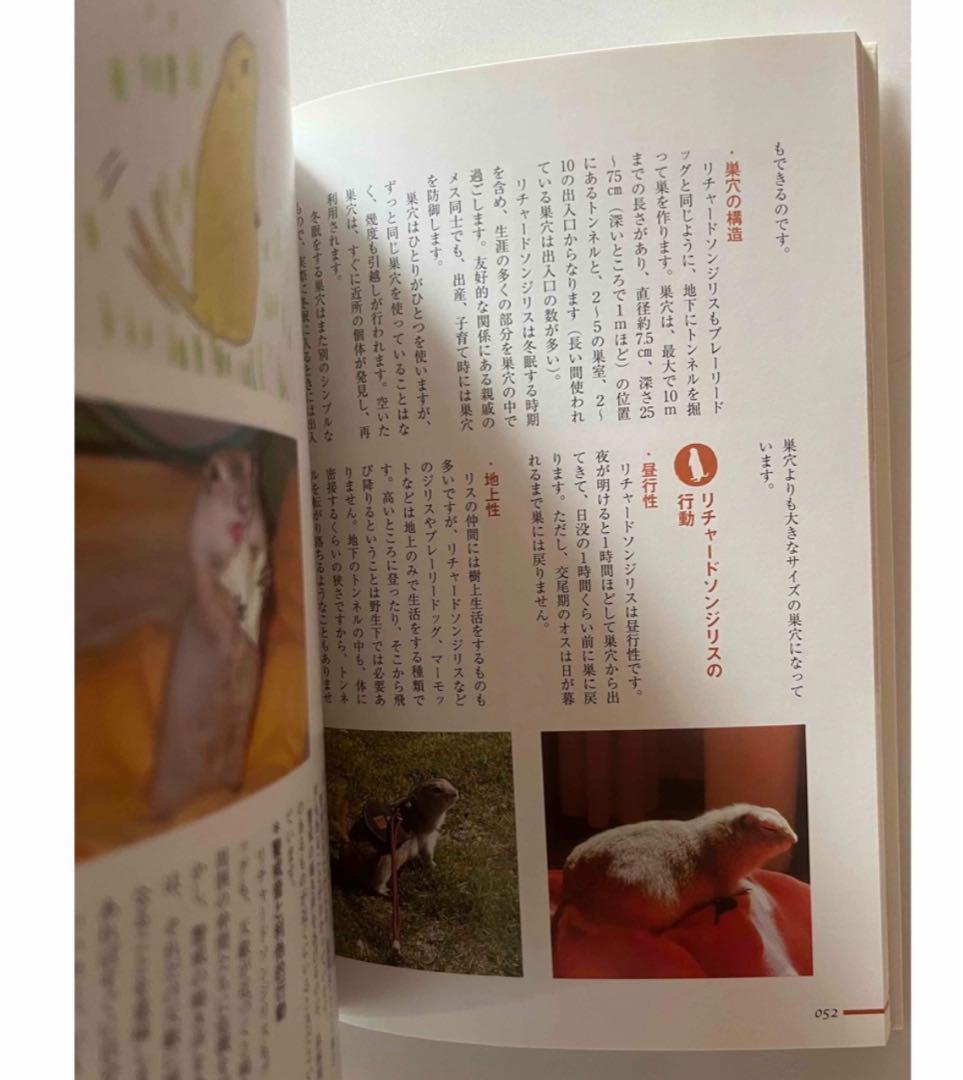 【送料0円】 ザ・プレーリードッグ&ジリス 食事・住まい・接し方・医学がわかる その他