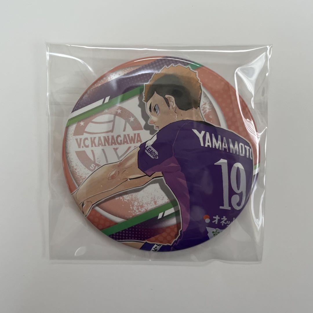 ハイキューVリーグ缶バッジ 14個セット