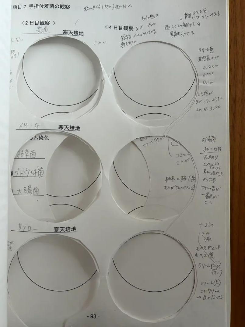 OW OX 生物系実習2実習書2022 EC ON 語学・辞書・学習参考書