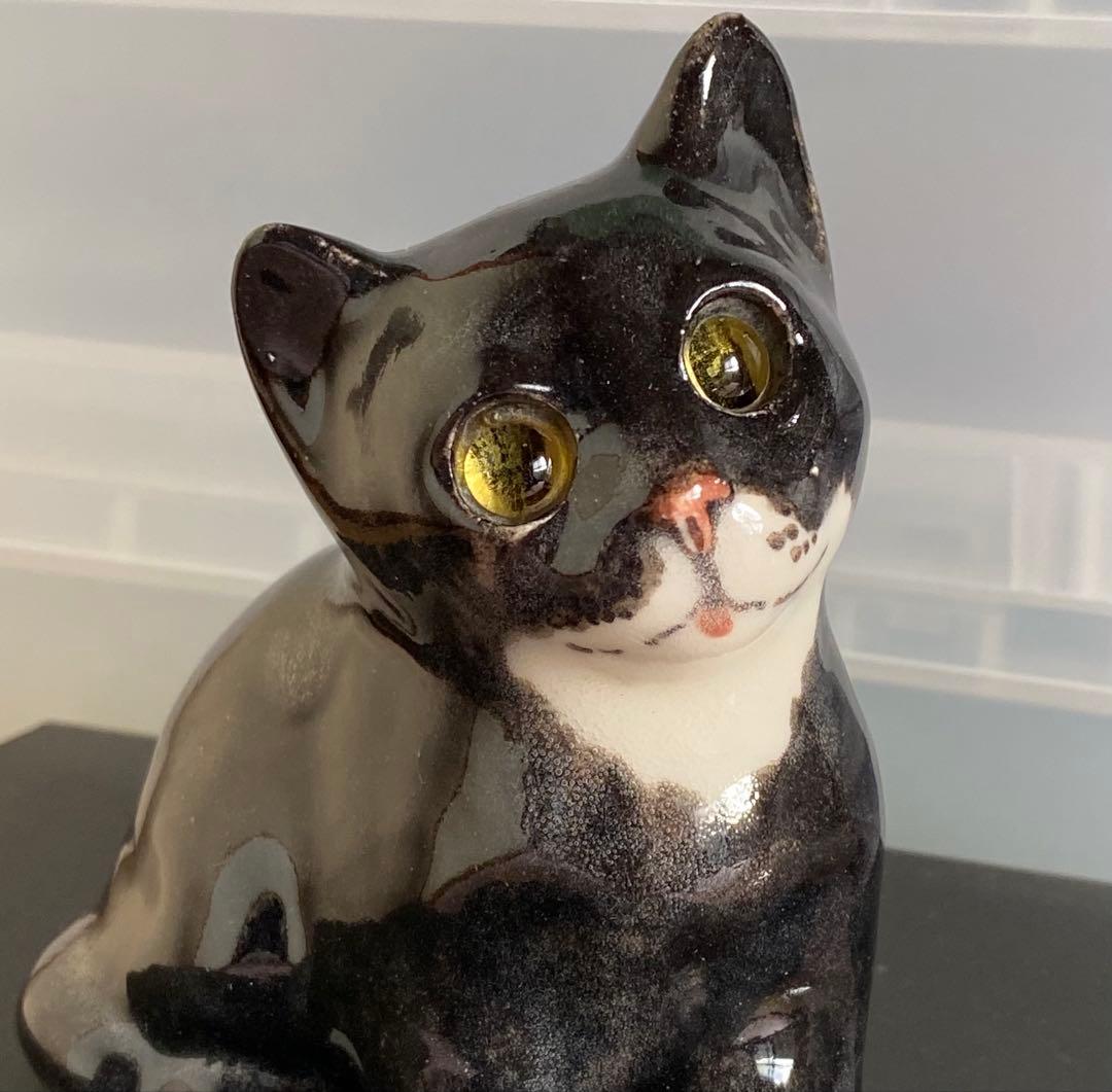 ウィンスタンレイキャット ケンジントンキャット