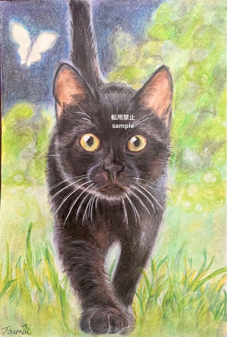 色鉛筆画 黒猫 蝶を便りに 猫 手描き 原画 オリジナルイラスト