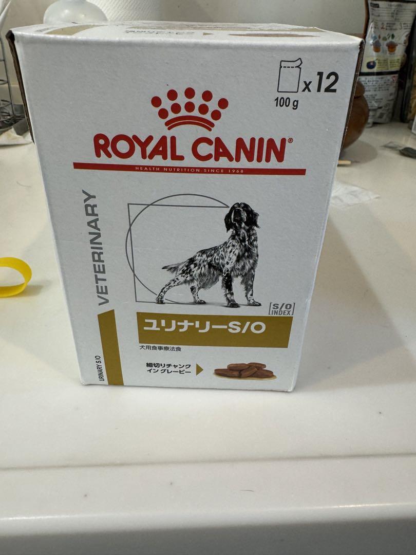 ロイヤルカナン　ユリナリーS/O 12個入り3箱&缶詰セット