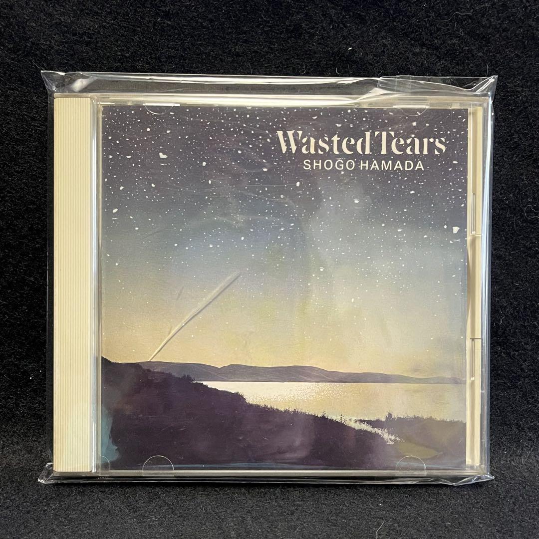 浜田省吾 Wasted Tears - メルカリ