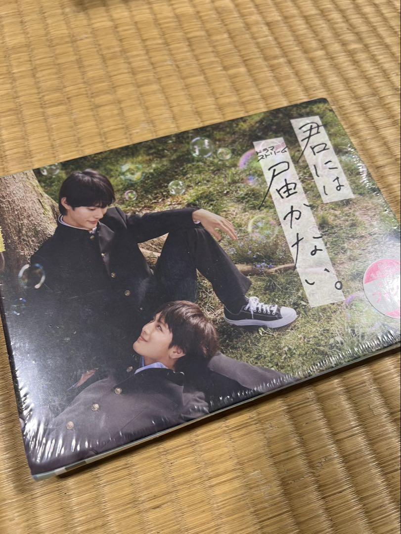 君には届かない。 DVD 未開封