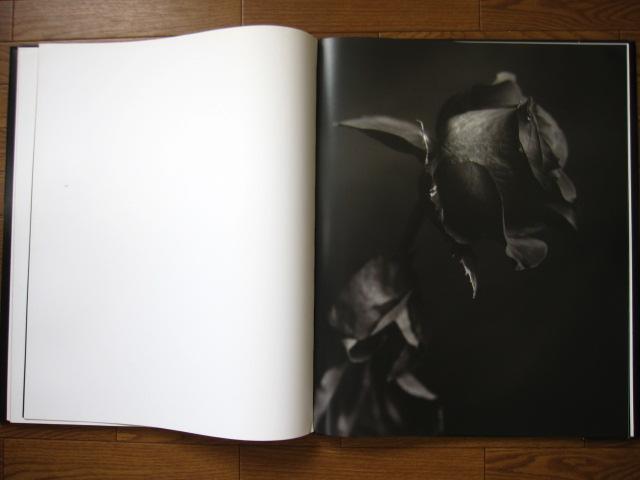 The Art of Ruin　Robert Stivers　限定1000部 The Art of Ruin Robert Stivers 限定1000部アウトレット