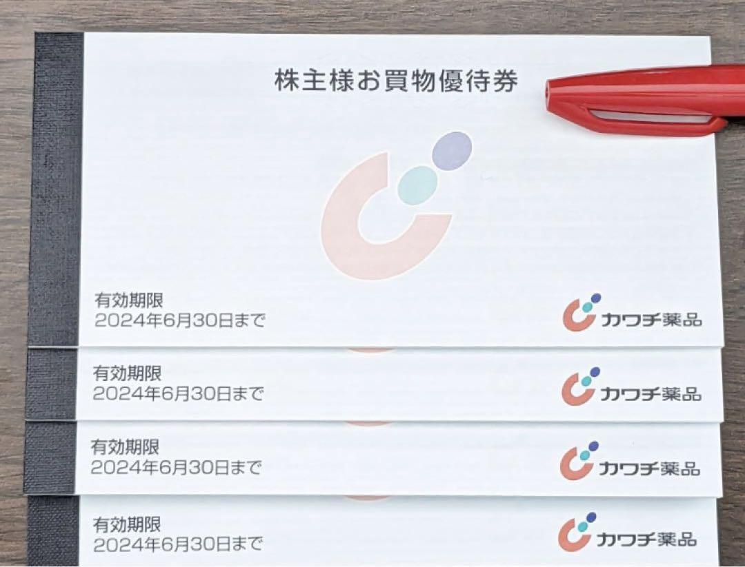 【友ちゃん様専用】カワチ薬品株主優待券10000円分