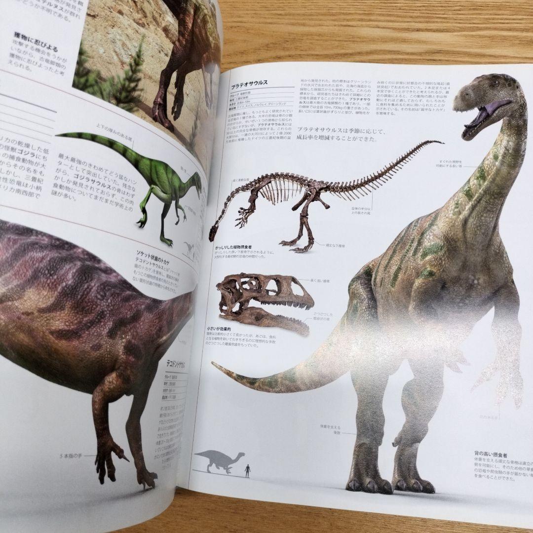 生物の進化大図鑑 PREHISTORIC　河出書房新社 91i4jFuepUL.jpg