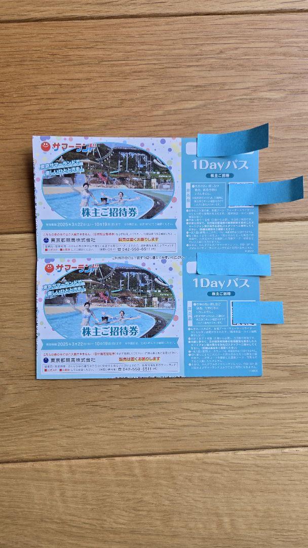 東京サマーランド 1Dayパス 2枚セット