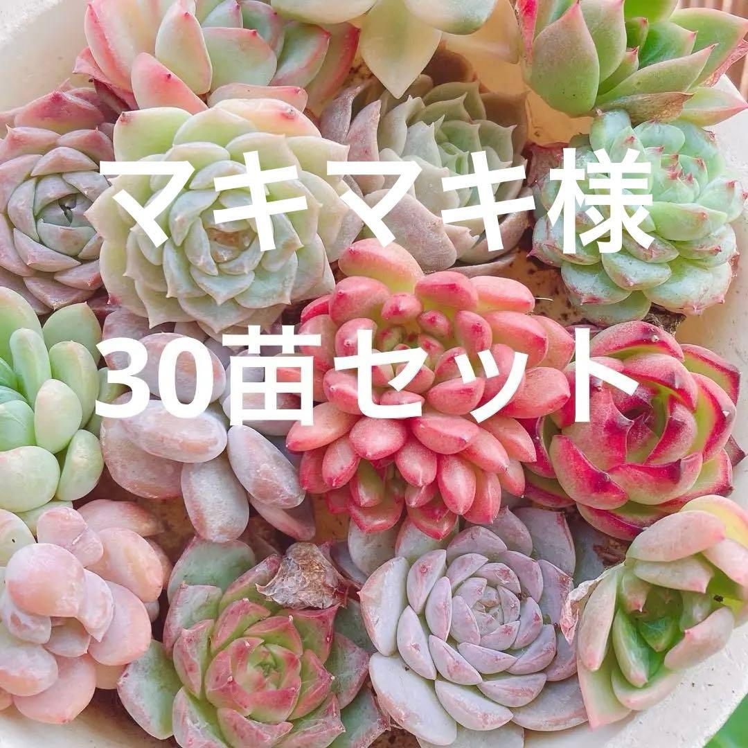 マキマキ様 リクエスト 4点 まとめ商品