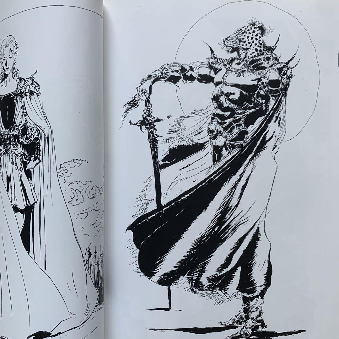 Amazon.co.jp: 幻視の英雄たち: MONO : 天野 喜孝: 本