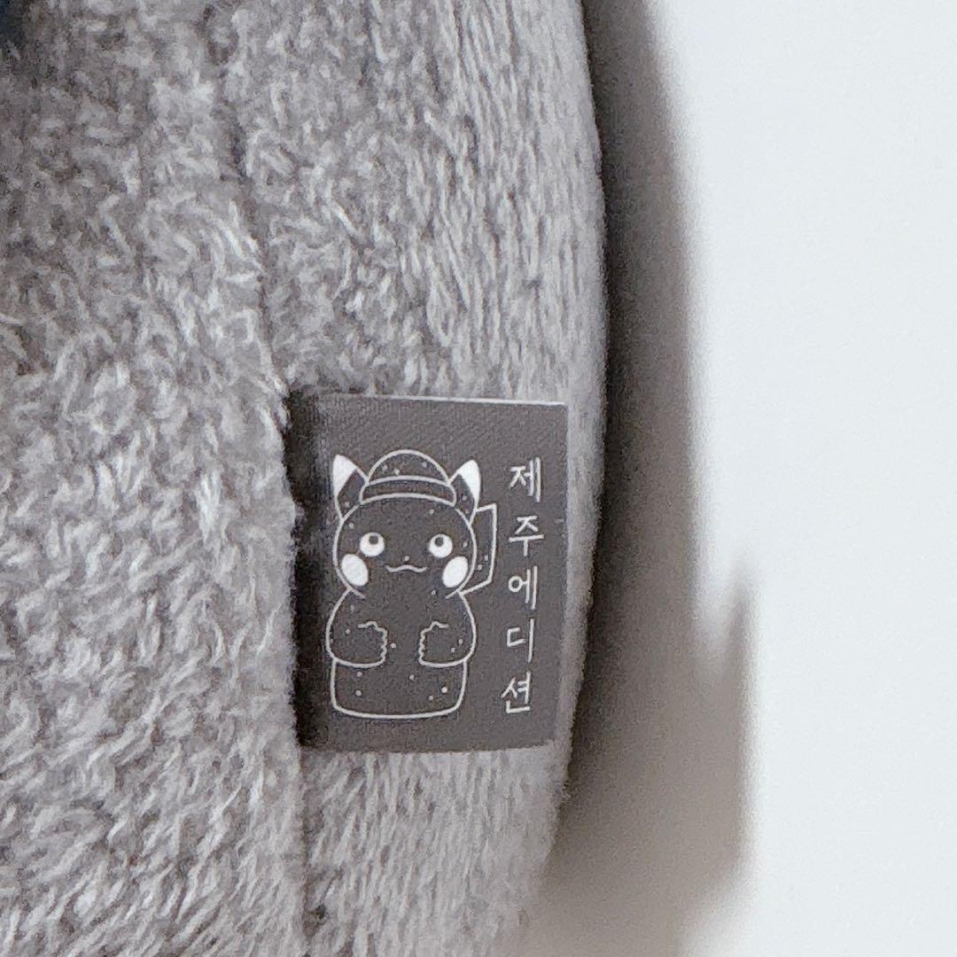 ポケモン ピカチュウ 韓国 チェジュ 済州島 公式品 BIG ぬいぐるみ