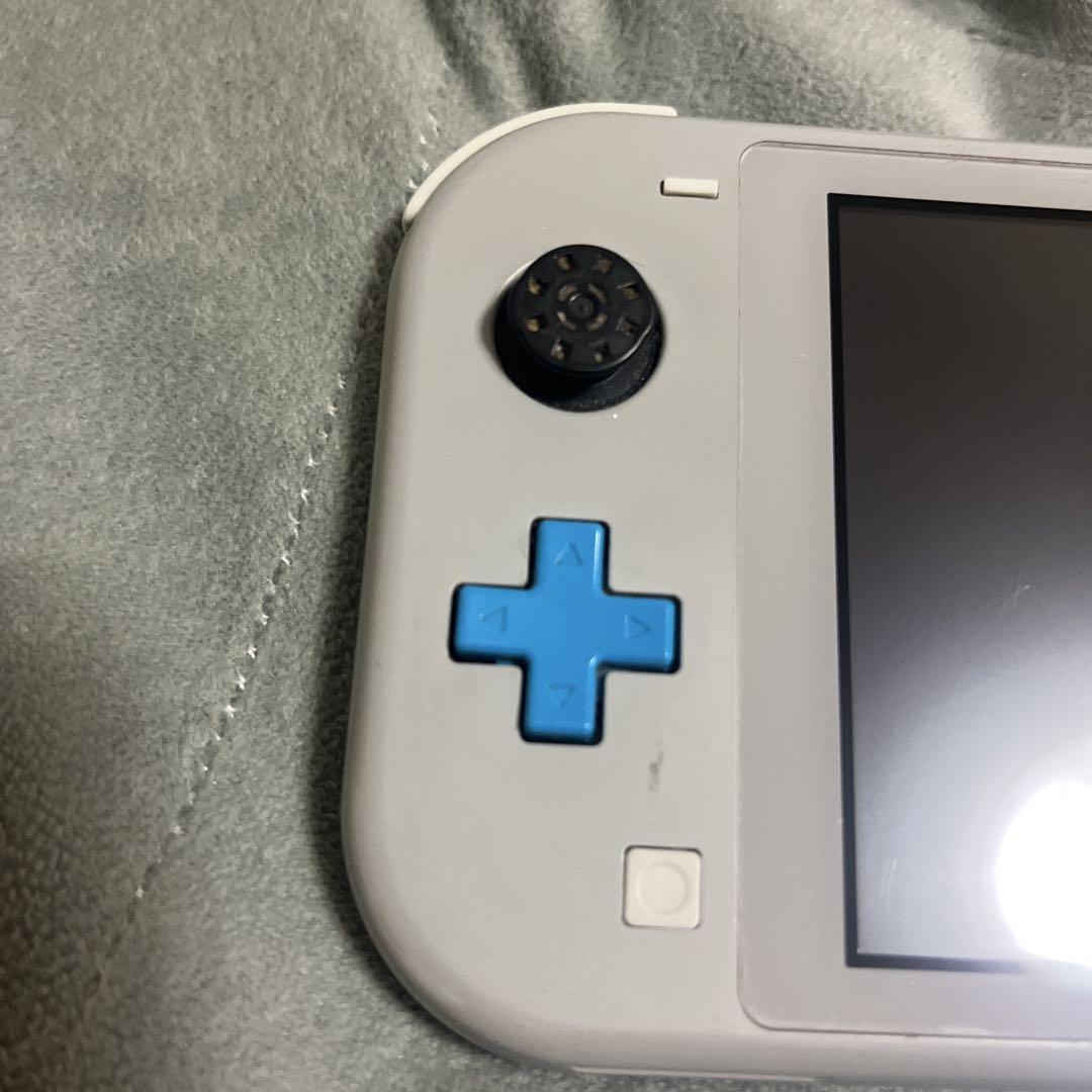 Nintendo Switch Lite グレー ザシアンザマゼンタ(ジャンク
