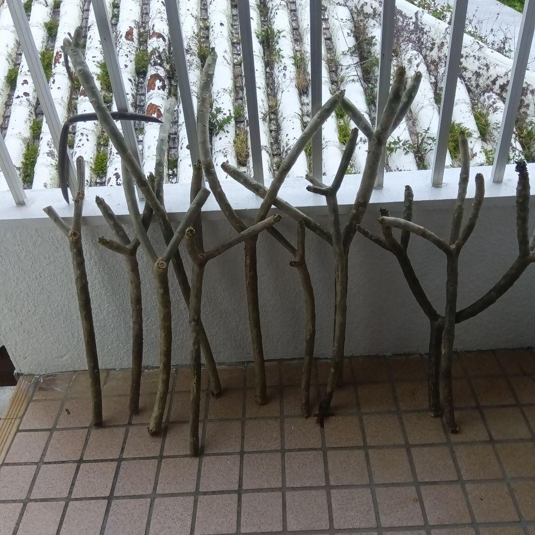 ❤️期間限定出品❤️