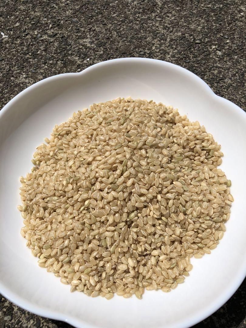 徳島県産 コシヒカリ 29kg 玄米 古米　令和5年度