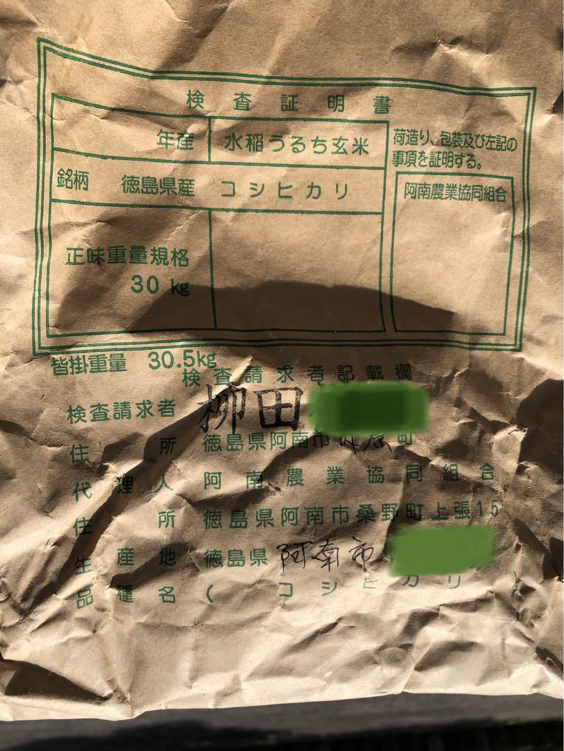 徳島県産 コシヒカリ 29kg 玄米 古米　令和5年度