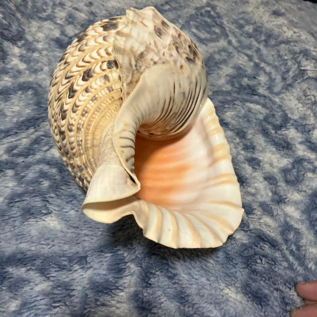 鹿児島産 加熱式タバコ