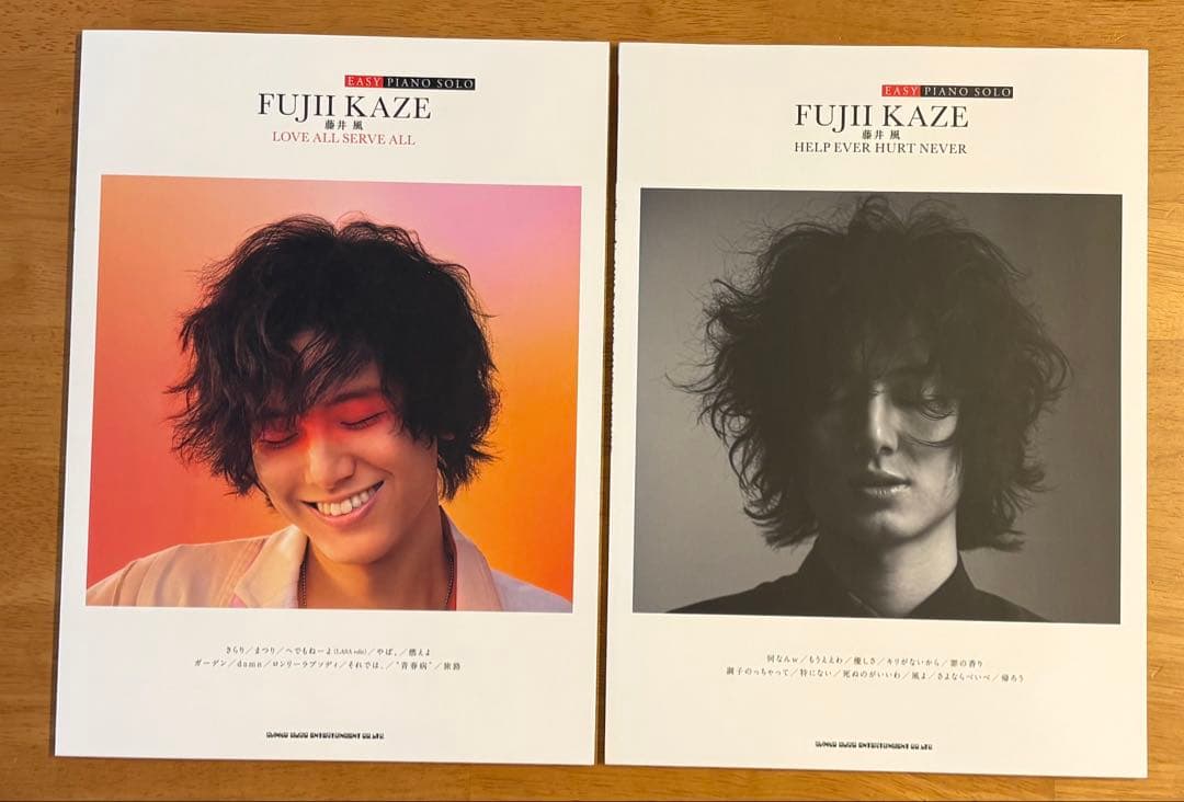 HELP EVER HURT NEVER /LOVE ALL SERVE ALL