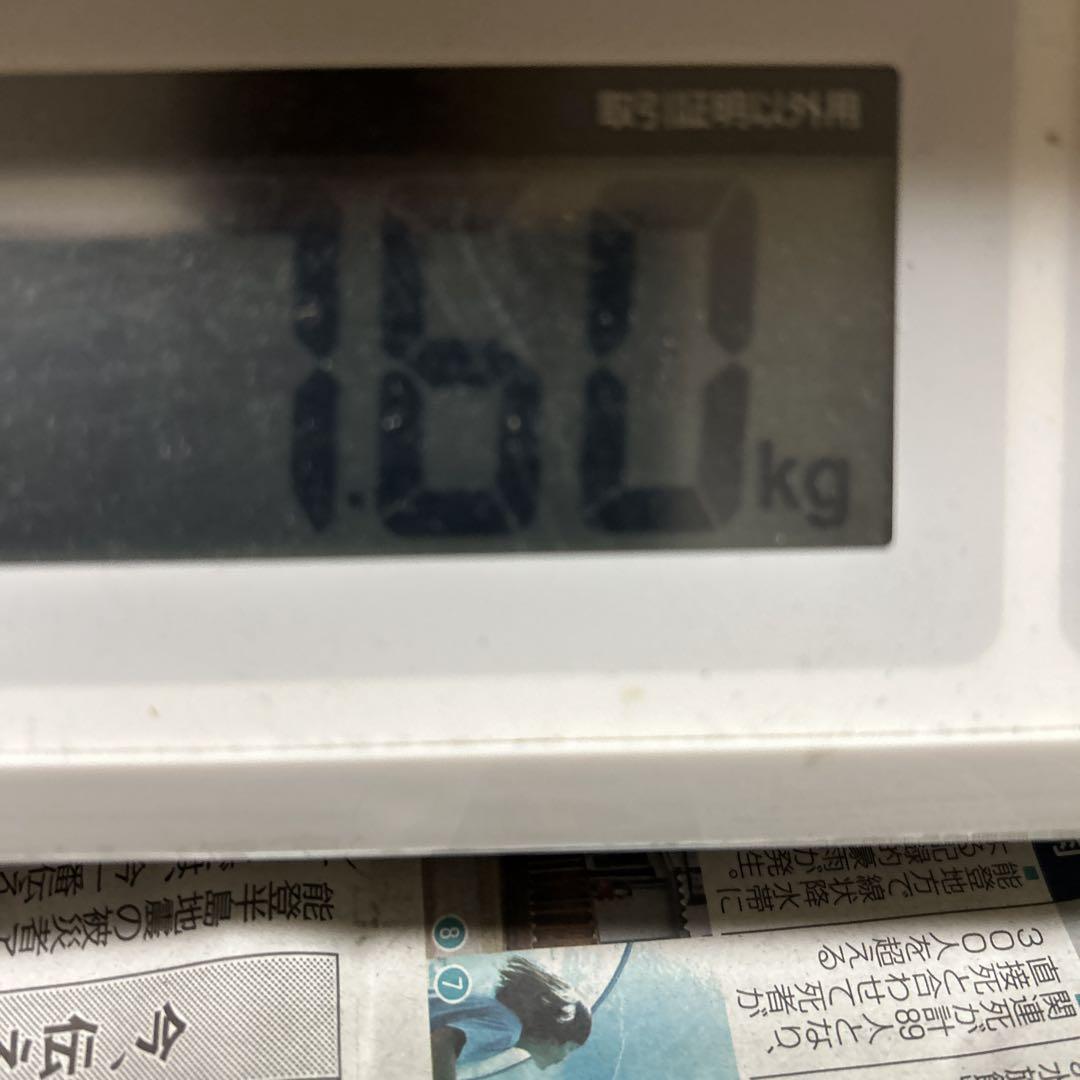 宮崎県産　摘果マンゴー７.５㌔