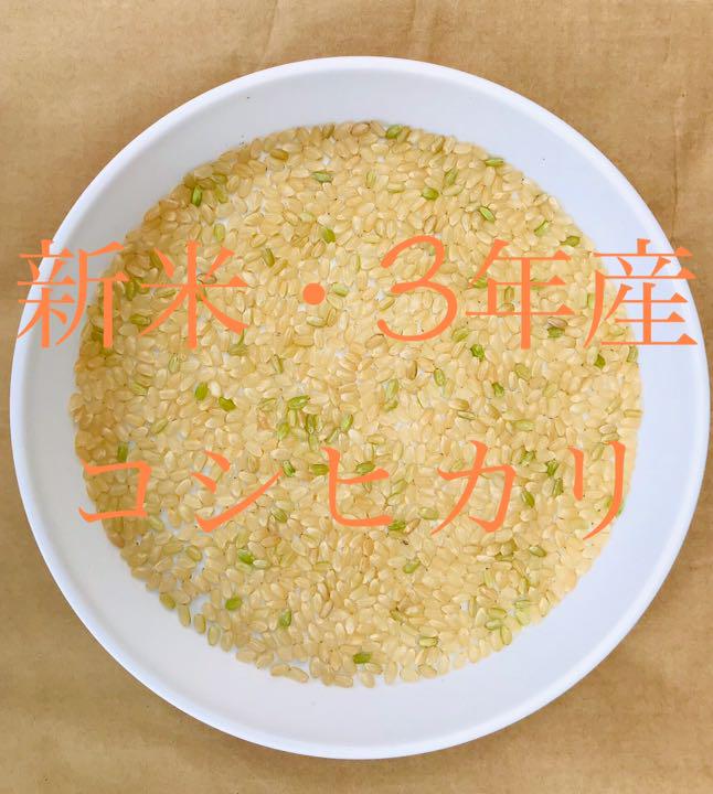 正規品豊富な お米セール 丹後産コシヒカリ 送料無料 精米サービスします TxEyL-m34545854500 3年産 特別栽培米 安い最安値