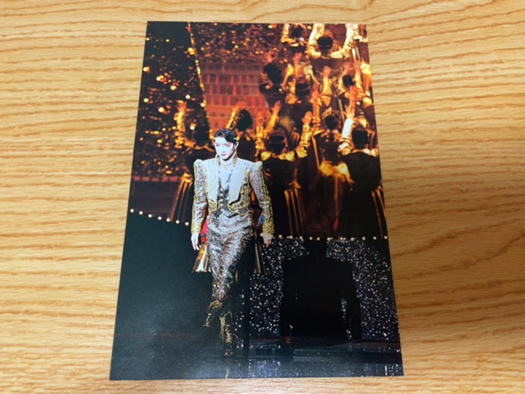 貴重 DVD 宝塚歌劇団 仮面のロマネスク ゴールデン・デイズ