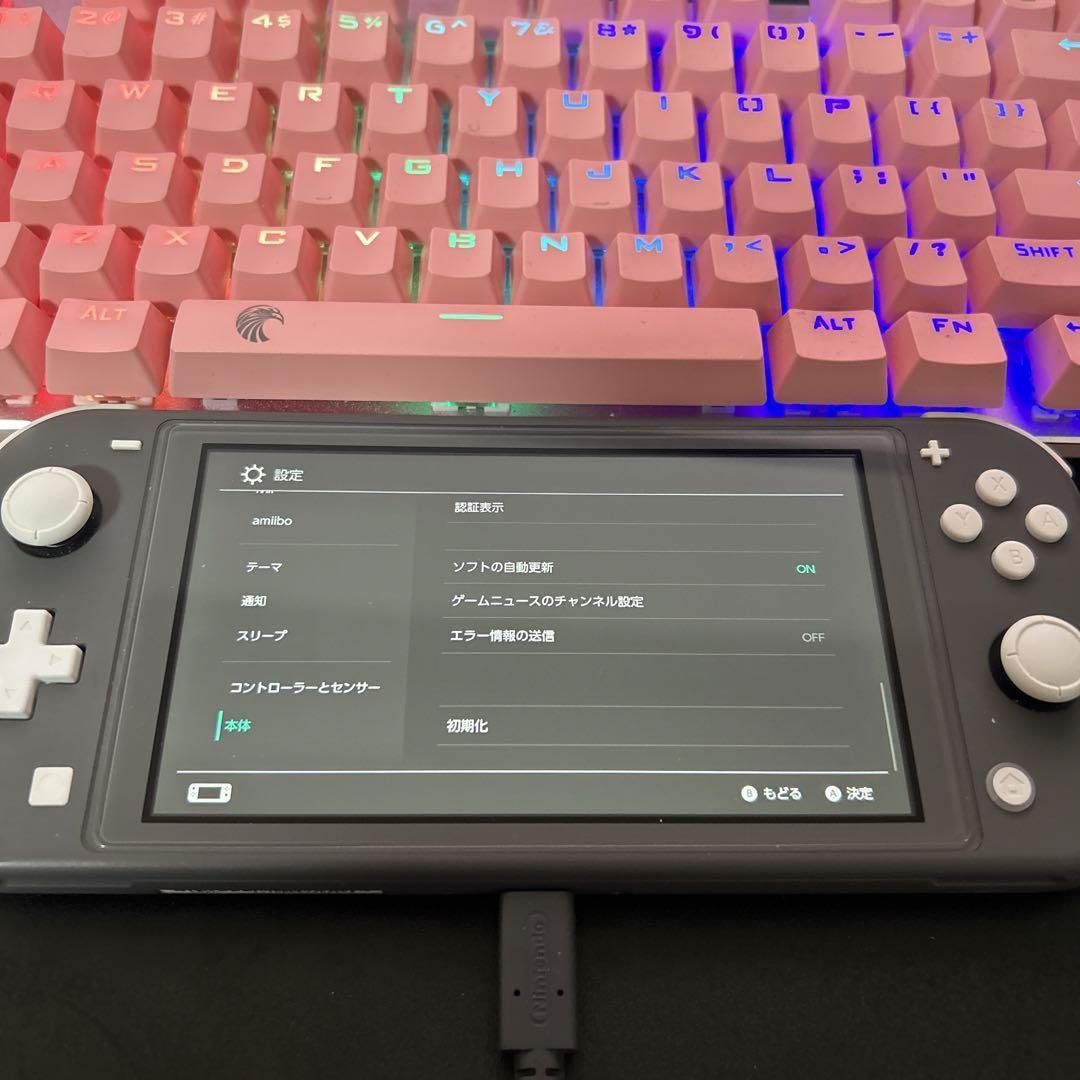 任天堂 Switch Lite スイッチライト グレー ケース付き 箱無し