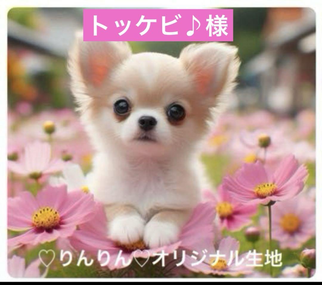 トッケビ♪様専用　パネル生地