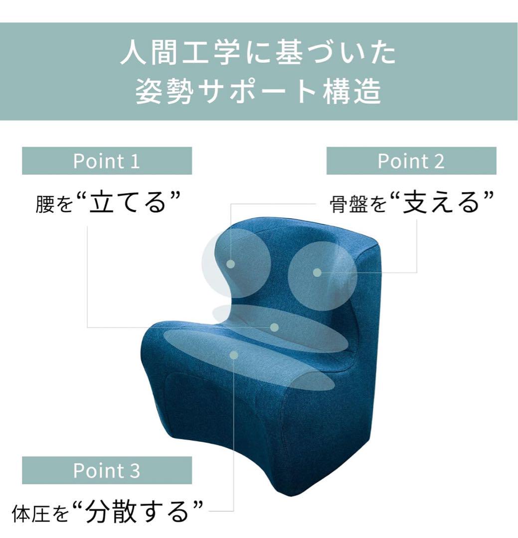 矯正用品・補助ベルト Dr.chair plus スタイルドクターチェアプラスStyle Dr.CHAIR Plus 骨盤サポート